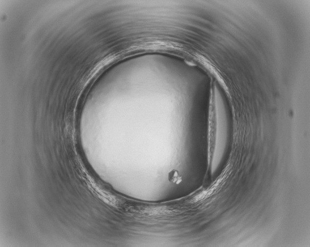 X0000059040845200510281540