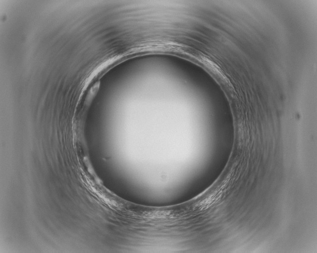 X0000059040846200510281540