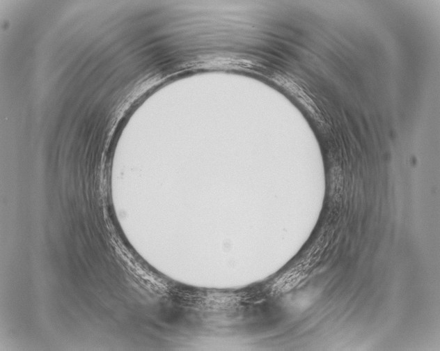 X0000059040848200510281540