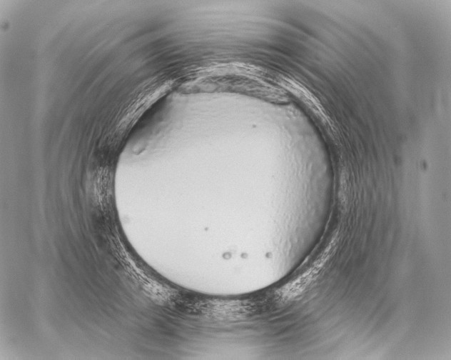 X0000059040849200510281540