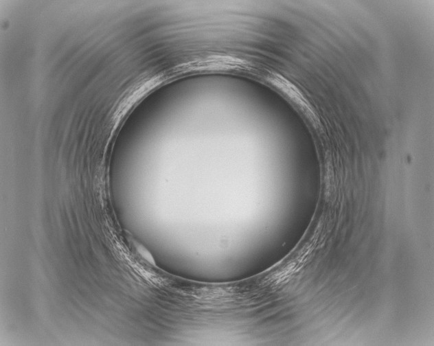 X0000059040850200510281540