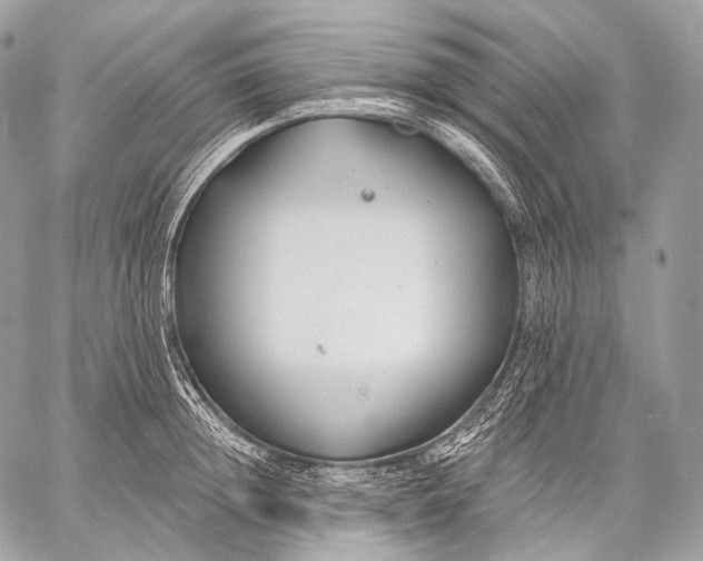 X0000059040852200510281540