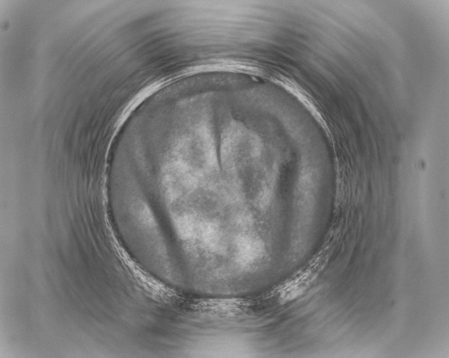 X0000059040853200510281540