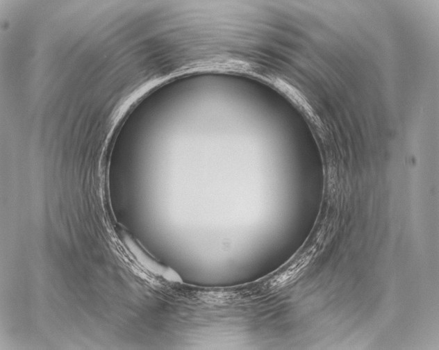 X0000059040854200510281540