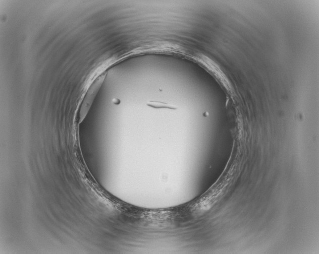 X0000059040858200510281540