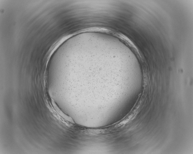 X0000059040860200510281540