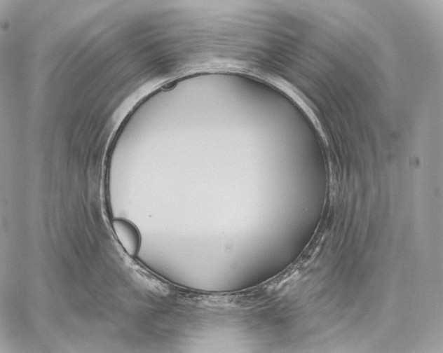 X0000059040861200510281540