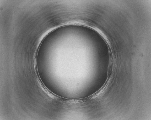 X0000059040862200510281540