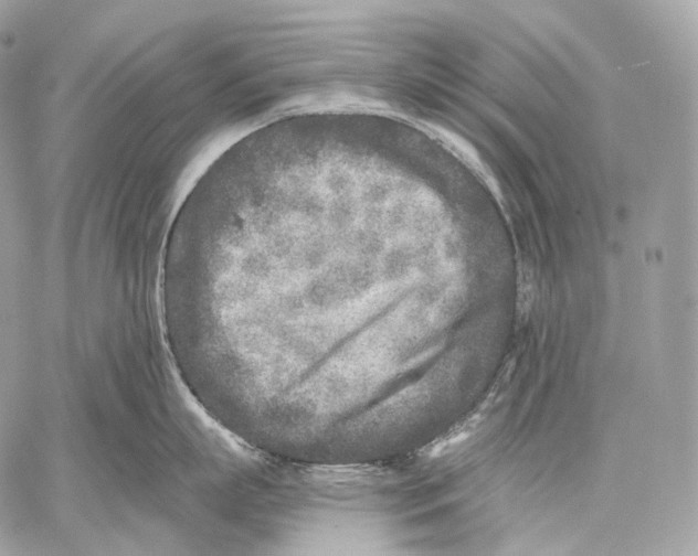 X0000059040863200510281540