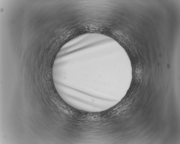 X0000059040865200510281540