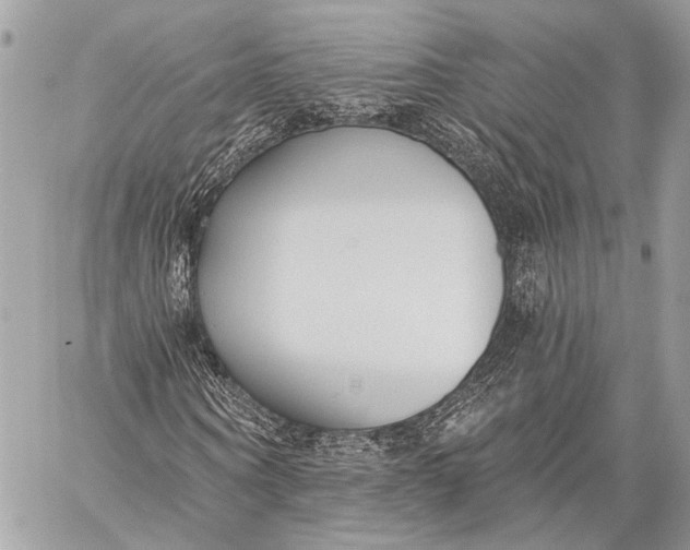 X0000059040866200510281540