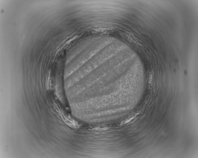 X0000059040868200510281540