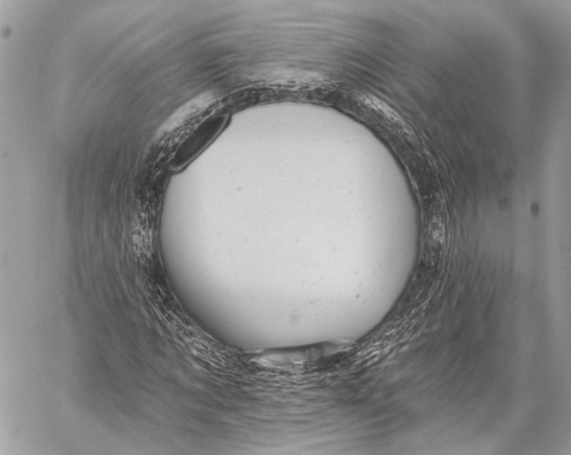 X0000059040869200510281540