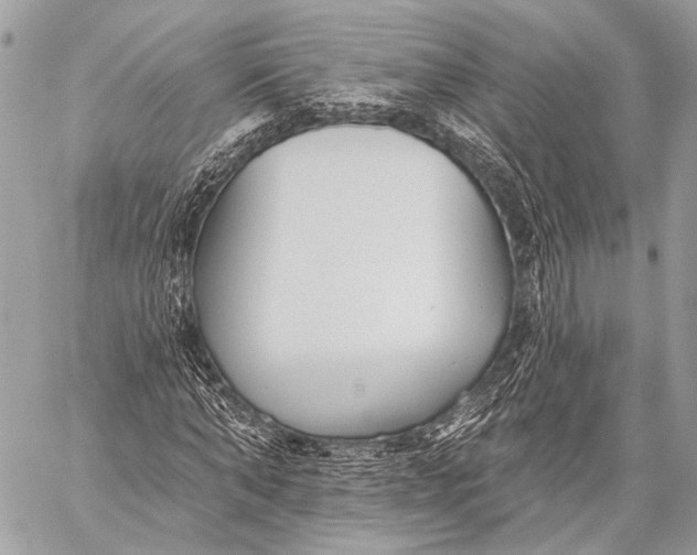 X0000059040870200510281540