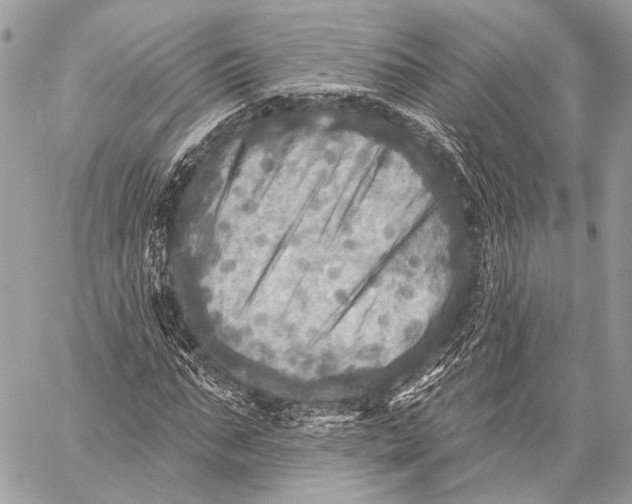 X0000059040871200510281539