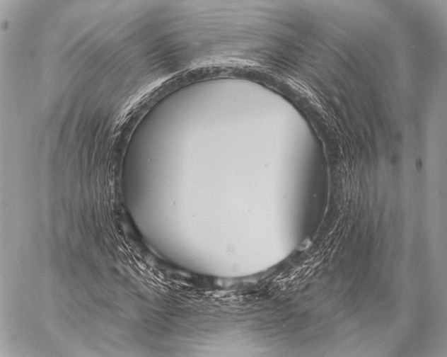 X0000059040872200510281539