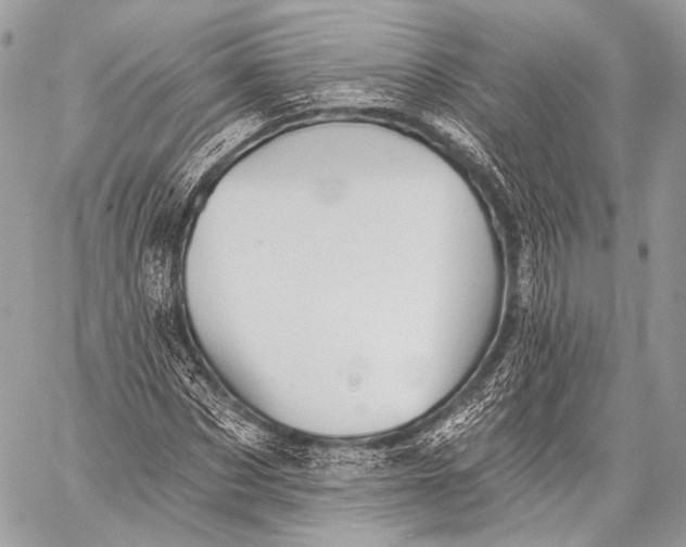 X0000059040873200510281539