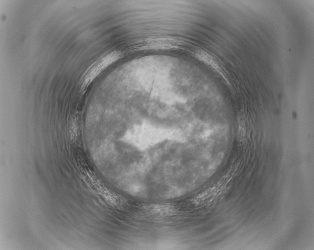 X0000059040874200510281539