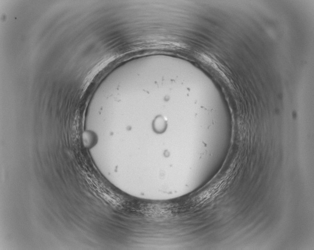 X0000059040875200510281539