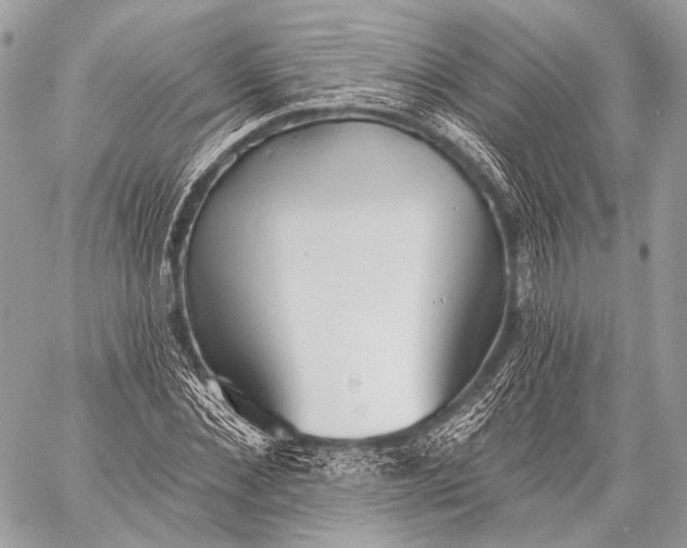 X0000059040876200510281539