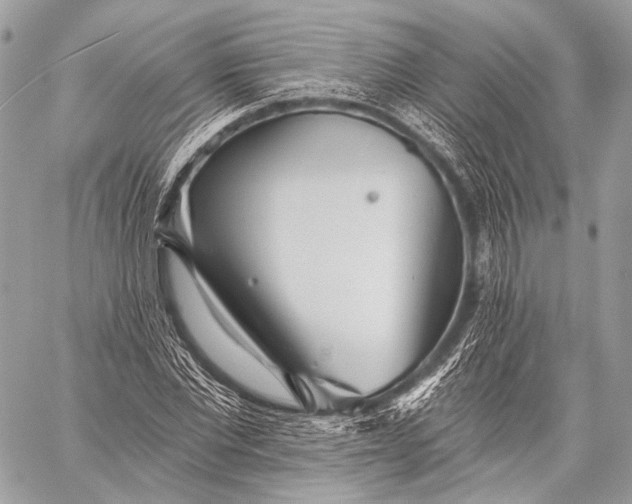 X0000059040877200510281539