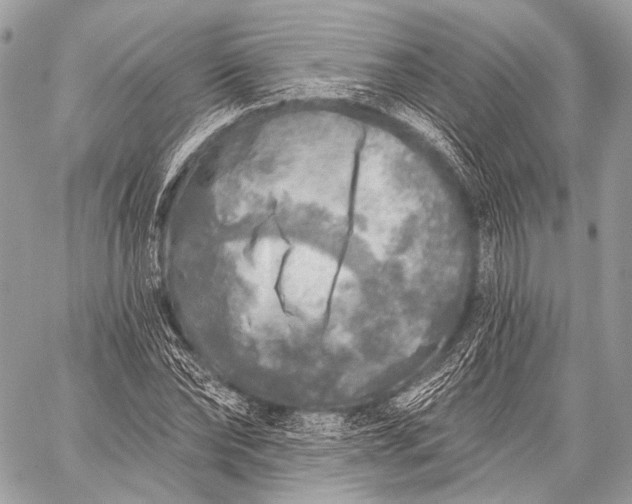 X0000059040878200510281539