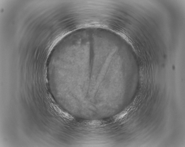 X0000059040879200510281539