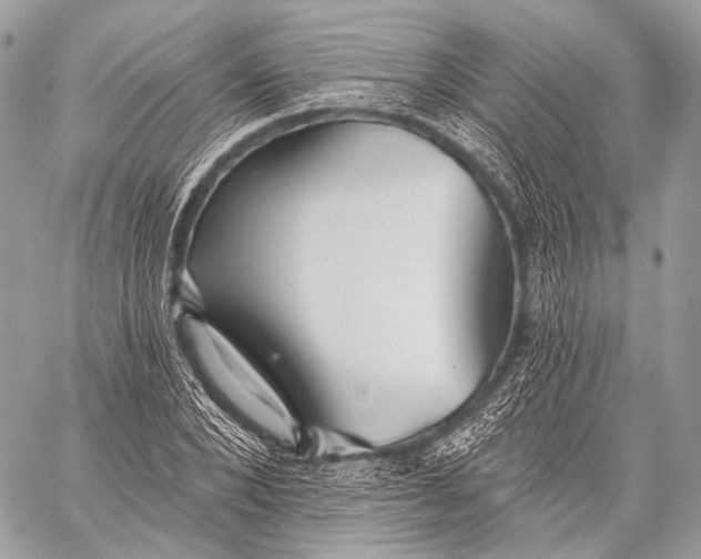 X0000059040880200510281539