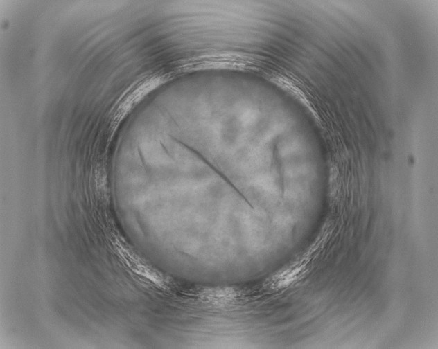 X0000059040882200510281539