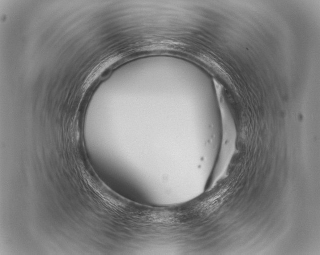 X0000059040885200510281539