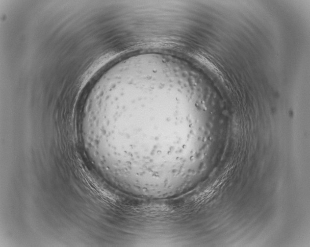 X0000059040886200510281539