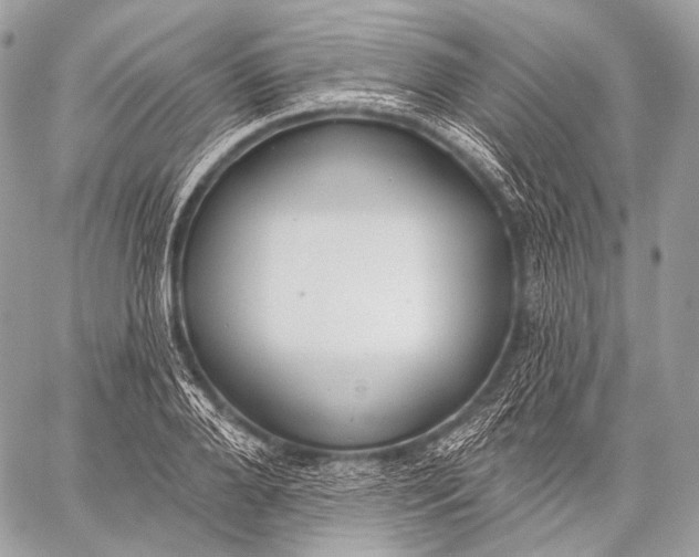 X0000059040888200510281539