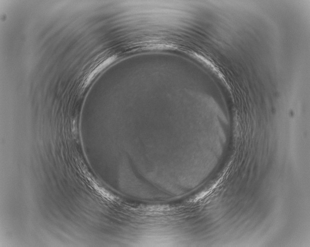 X0000059040889200510281539