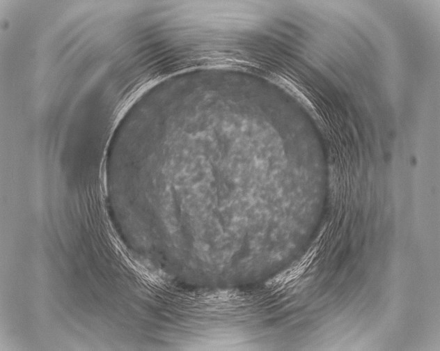 X0000059040891200510281539