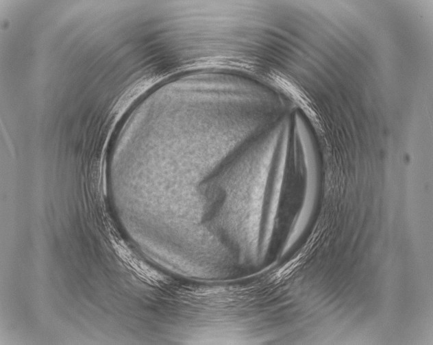 X0000059040892200510281539