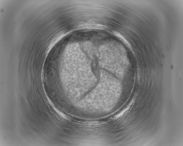 X0000059040893200510281539