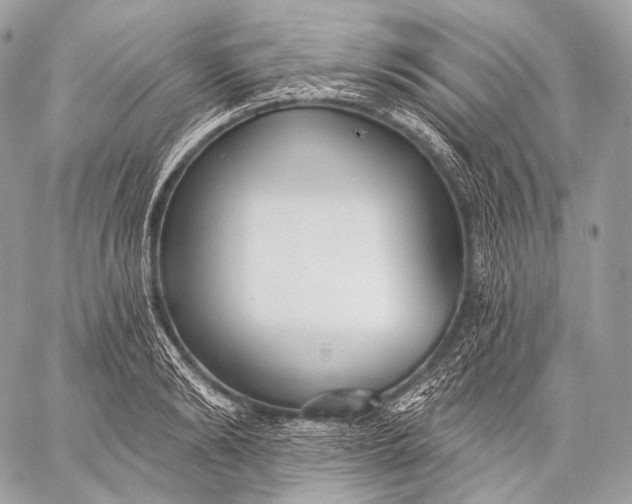 X0000059040894200510281539