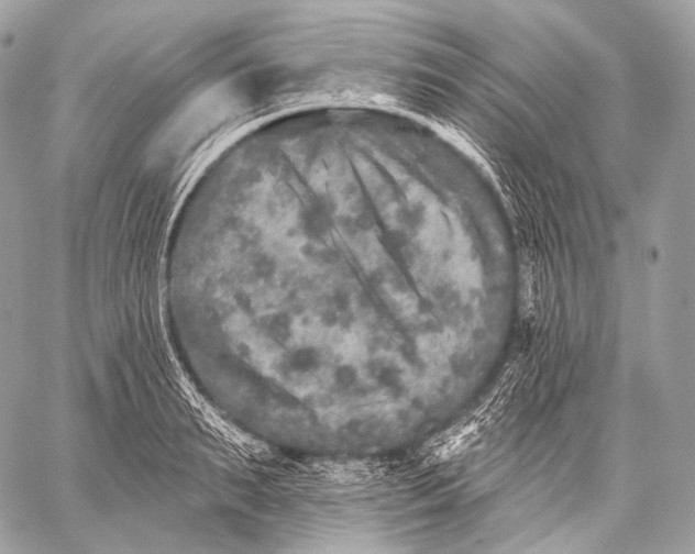 X0000059040895200510281539