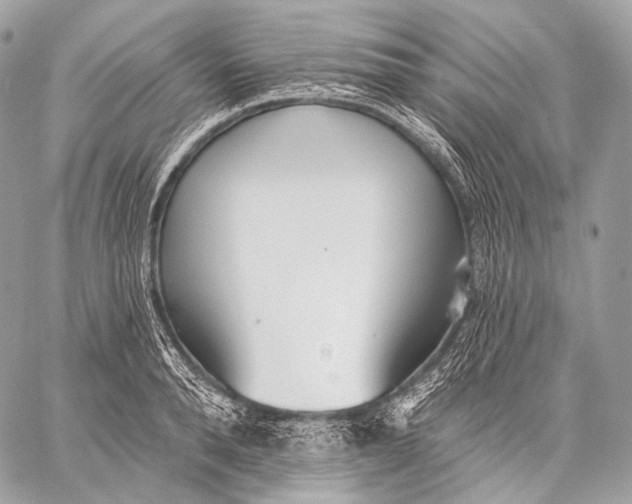 X0000059040896200510281539