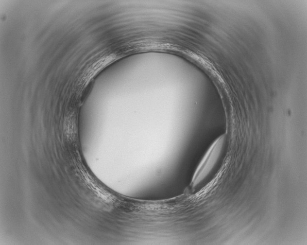 X0000059040897200510281539