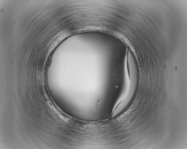 X0000059040898200510281539