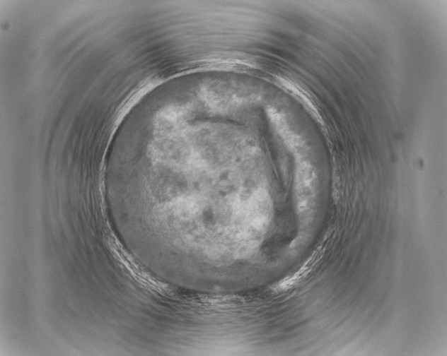 X0000059040899200510281539