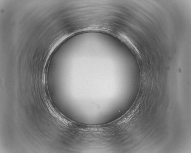 X0000059040900200510281539