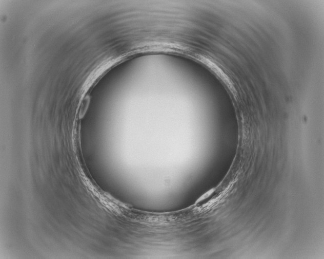 X0000059040901200510281539