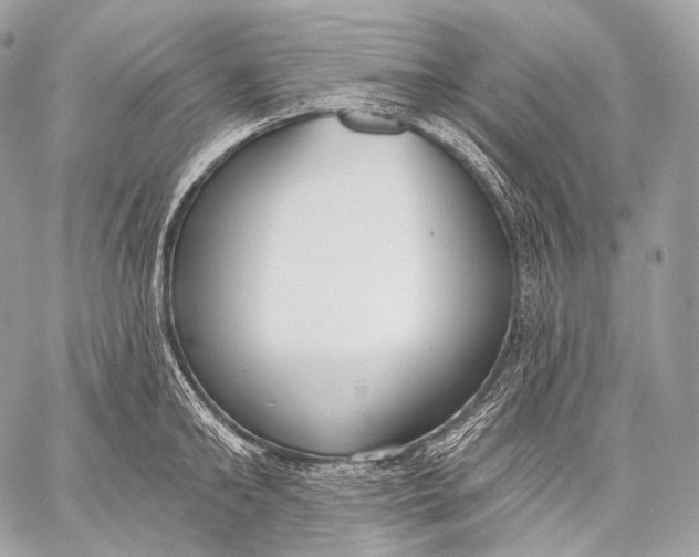 X0000059040902200510281539