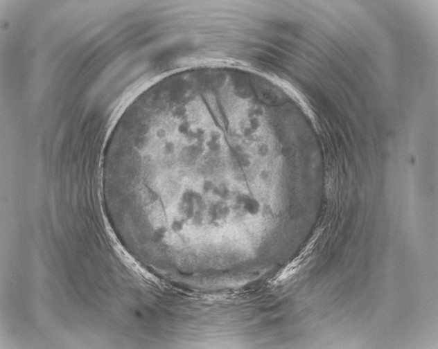 X0000059040903200510281539