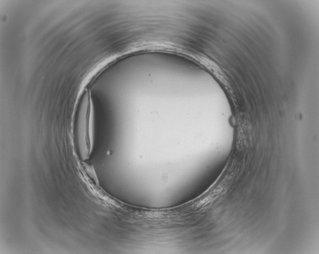 X0000059040904200510281539