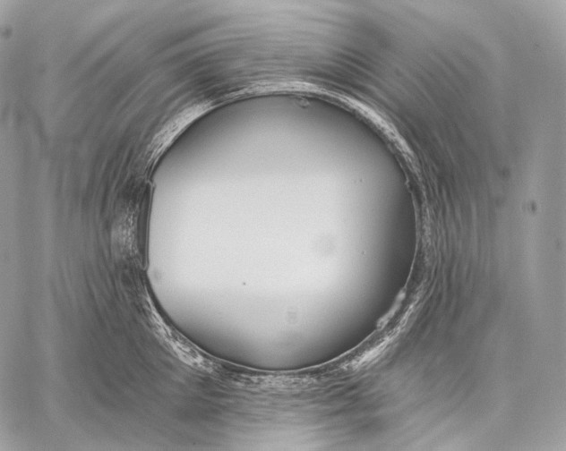 X0000059040905200510281539