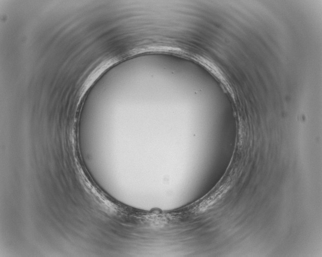 X0000059040906200510281539