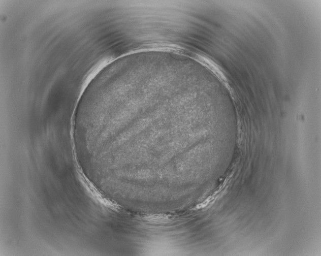 X0000059040907200510281539